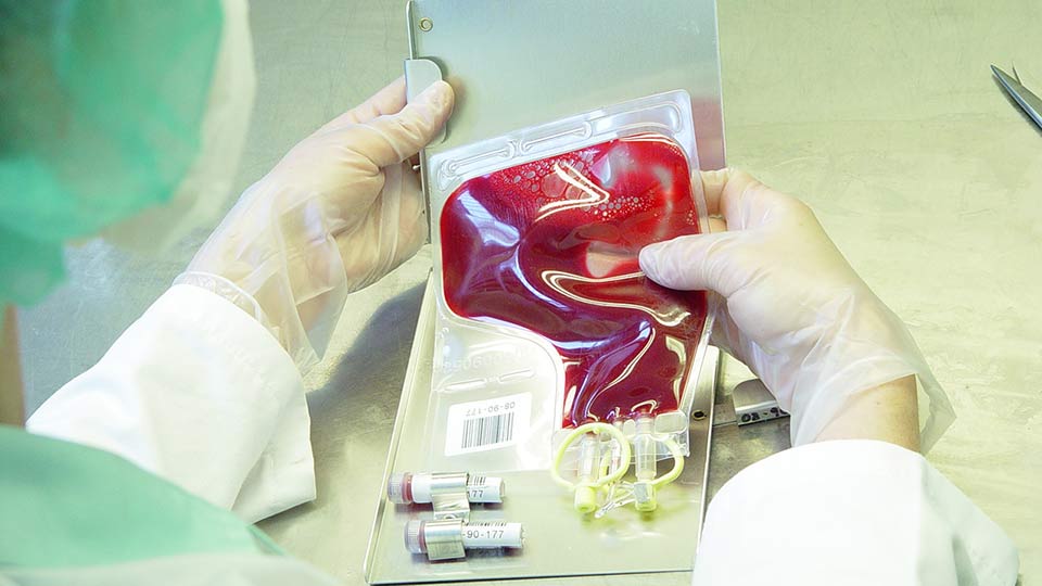 Eine Bluttransfusion mit der falschen Konserve führte zum Tod. 