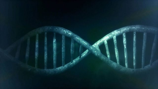 Ethik­rat fordert Debatte zu Genome-Editing