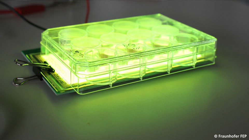Grüne OLEDs für eine Lichttherapie