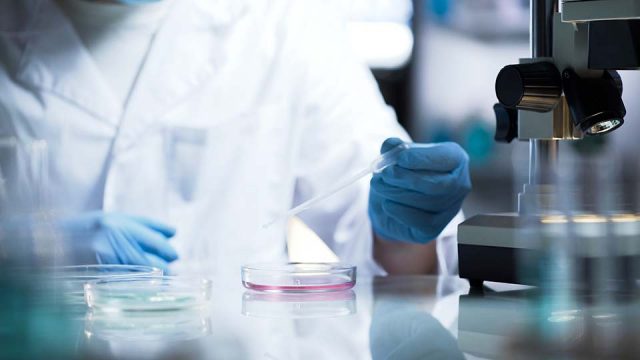 Typische Mutation in Krebs­zel­len legt das Immun­sys­tem lahm