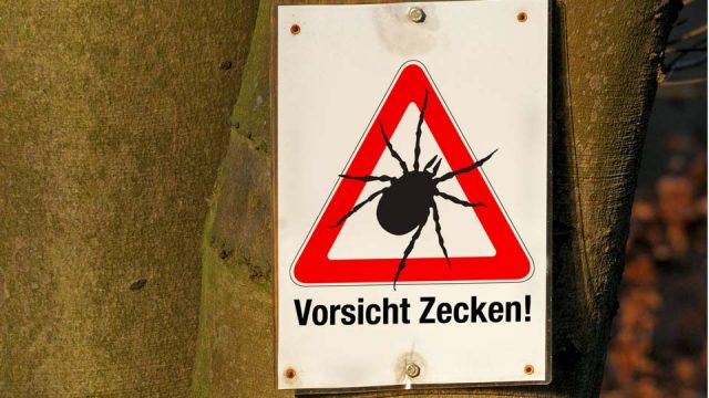 ZeckTag: Der Zecke einen Schritt voraus sein