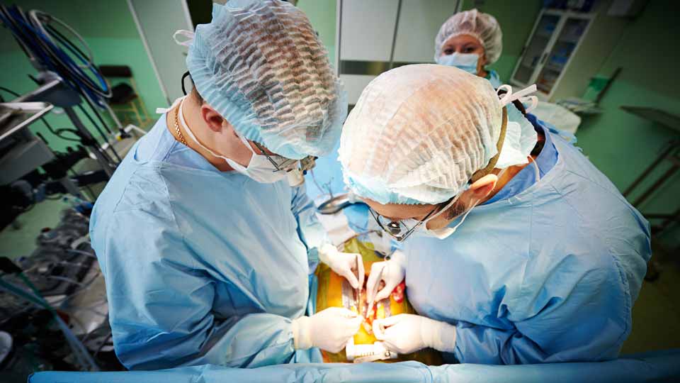 Transplantation
