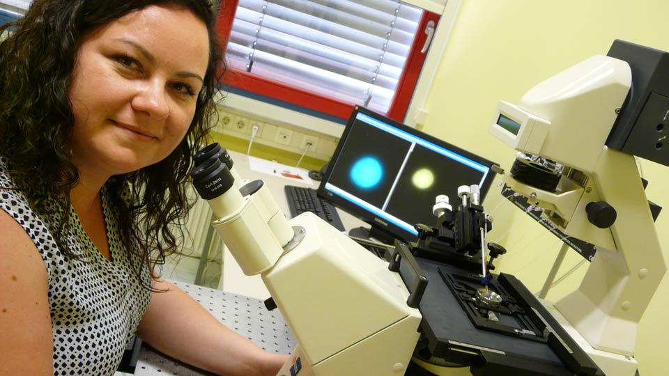 Dr. Elke Miess vom Uniklinikum Jena konnte in Kooperation mit einem Wissenschaftlerteam aus Sydney, Melbourne und Marburg weitere molekulare Details der Toleranzentwicklung gegen Opiate aufklären.