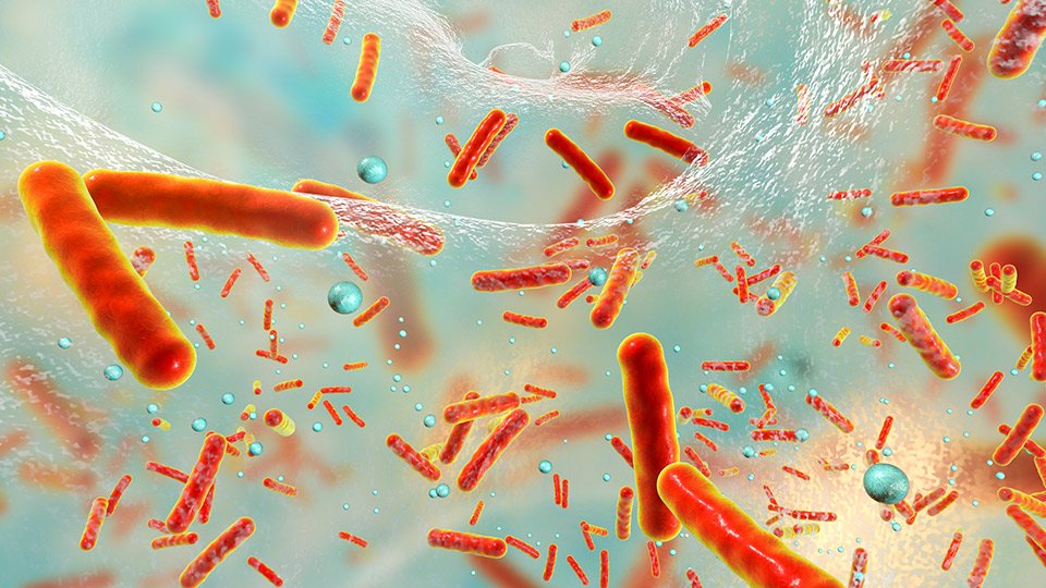 Biofilm: Der unsichtbare Feind in chronischen und stagnierenden Wunden.