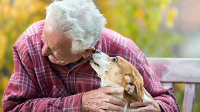 Wie Hunde in der Pflege helfen können