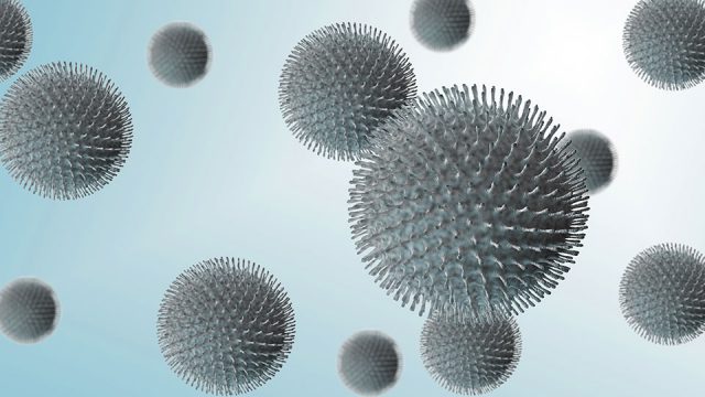 5 Fakten zum Corona­vi­rus