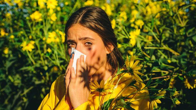 Der Frühling ist da – und damit auch die Pollen­all­er­gie