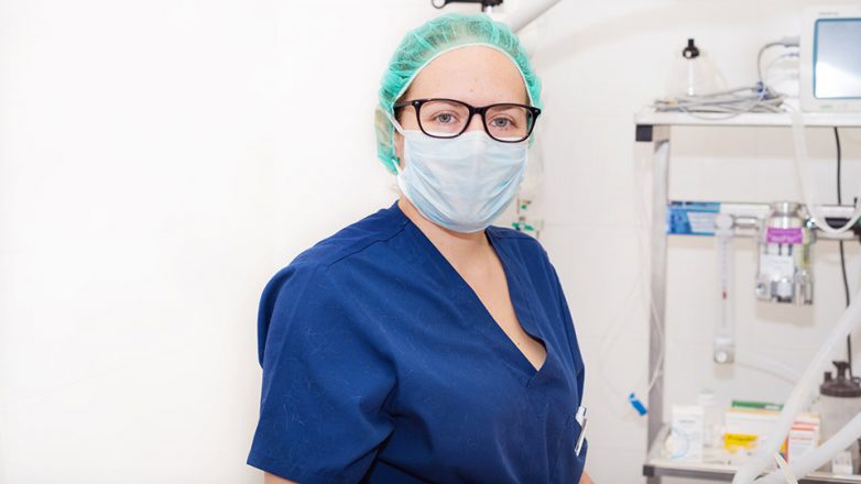 Zahlreiche Medizinstudierende leisten Unterstützung in der Corona-Krise.