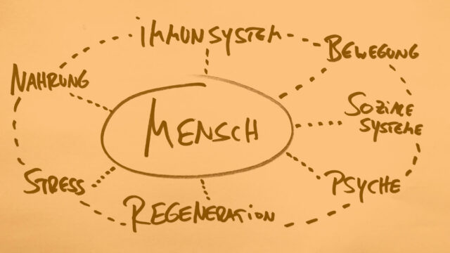 5 Fakten zur Psycho-Neuro-Immuno­lo­gie