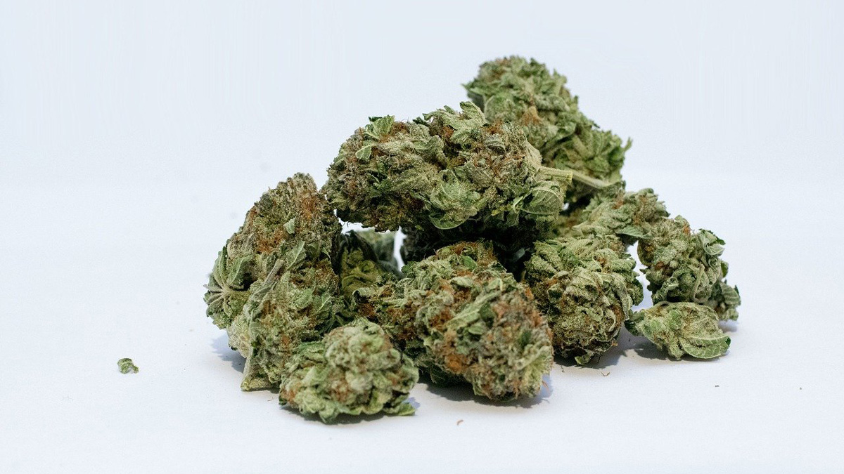Cannabis