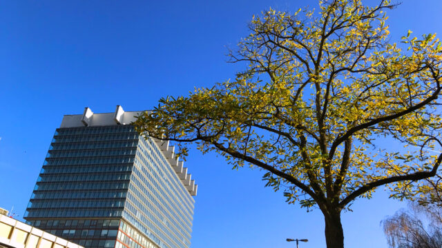 Kranken­haus­ster­ben ist politisch gewollt!